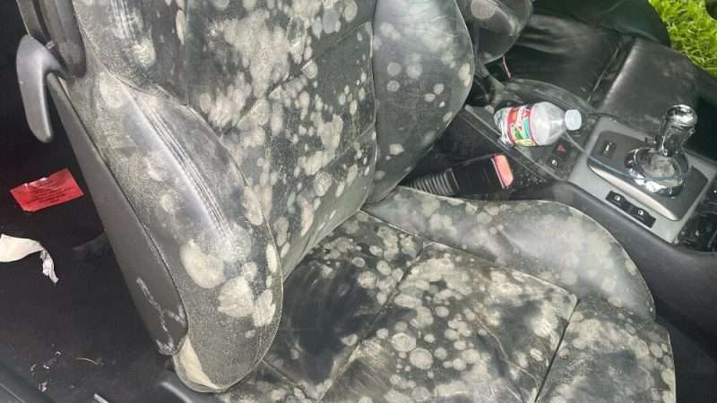 Eliminating Mold in Your Car Interior: A Comprehensive Guide