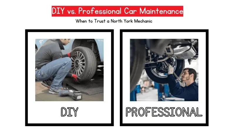 Car Body Repair: DIY vs. Professional Services