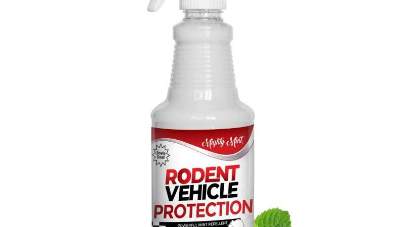Effective Rodent Deterrents for Car Engines
