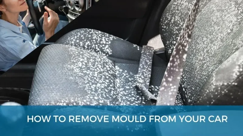 How to Remove Mold From Your Car: A Step-by-Step Guide