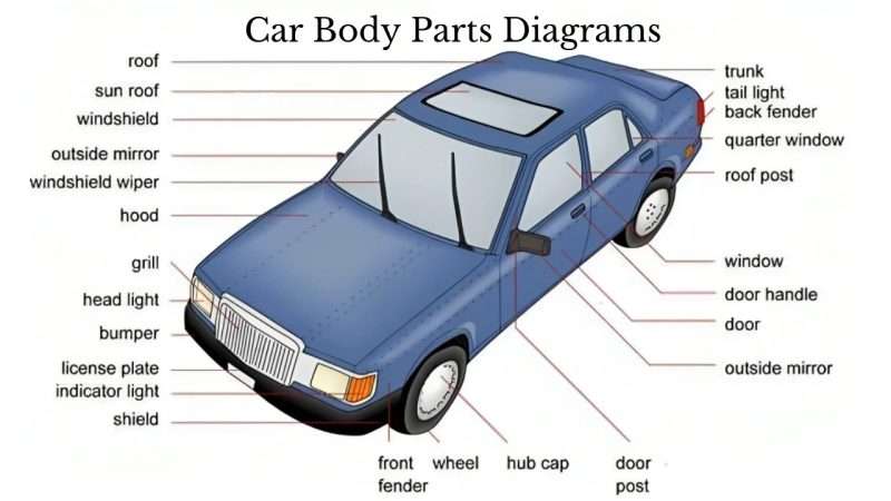 Parts of Car Body Diagram: Understanding Automotive Anatomy