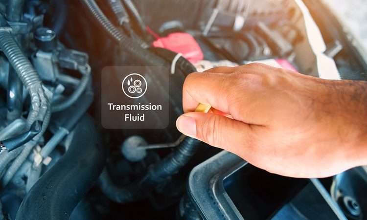 Transmission Fluid: The Ultimate Guide to Maintenance and Performance