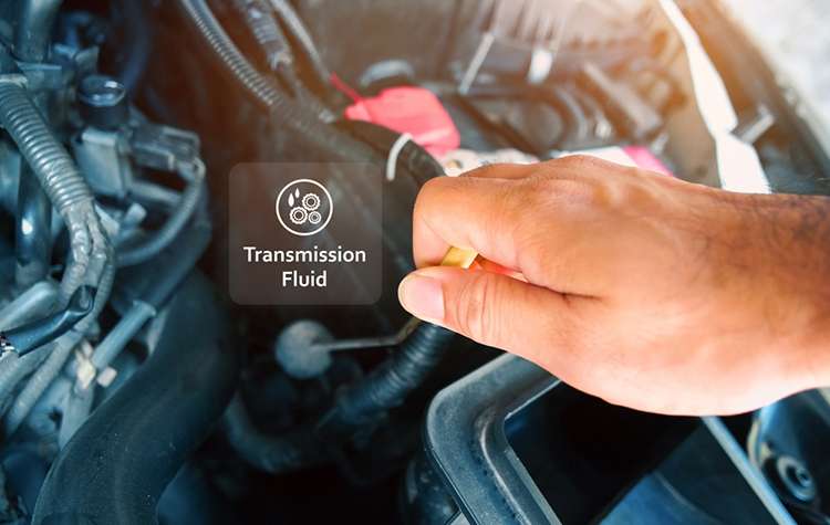 Transmission Fluid: The Ultimate Guide to Maintenance and Performance
