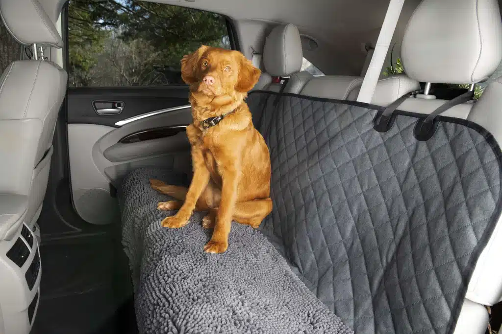 The Struggle is Real: Pet Hair in Your Car